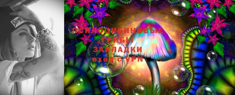 Псилоцибиновые грибы MAGIC MUSHROOMS  наркота  Анапа 